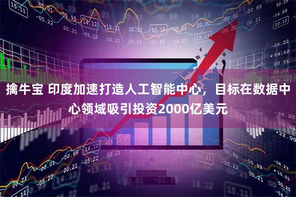 擒牛宝 印度加速打造人工智能中心，目标在数据中心领域吸引投资2000亿美元