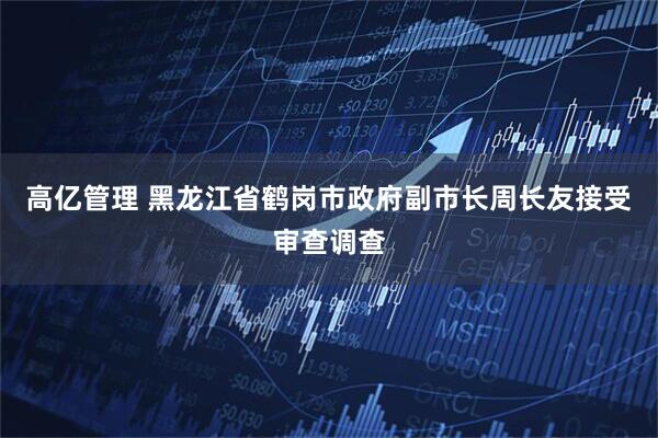 高亿管理 黑龙江省鹤岗市政府副市长周长友接受审查调查
