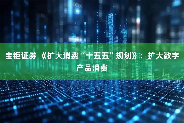 宝钜证券 《扩大消费“十五五”规划》：扩大数字产品消费
